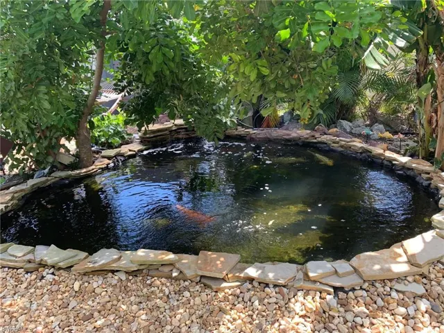 Pond
