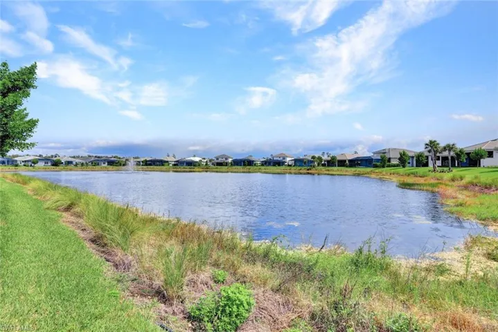 Lake View With Beautiful Water Birds That Stop By