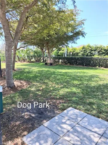 Dog Park