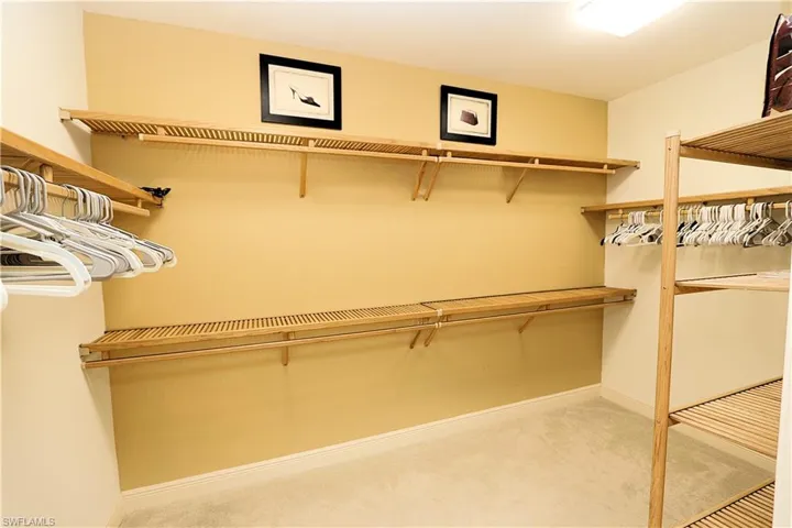 Spacious closet featuring light carpet