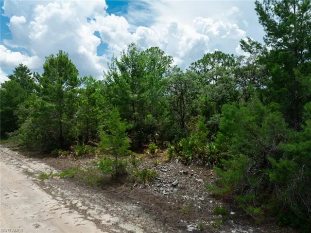 3238 Gossamer Ave, Lake Placid, Florida 33852
