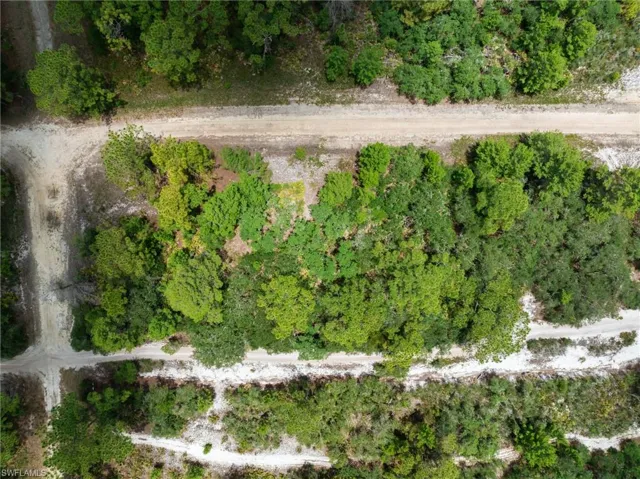 3238 Gossamer Ave, Lake Placid, Florida 33852