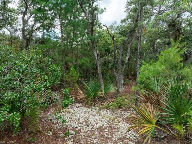 3238 Gossamer Ave, Lake Placid, Florida 33852