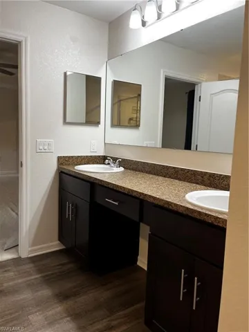 Bathroom with vintype flooring and dual bowl vanity