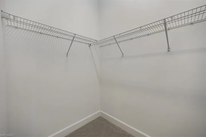 Spacious closet featuring carpet flooring