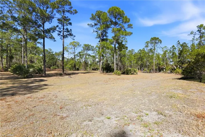 View of local wilderness