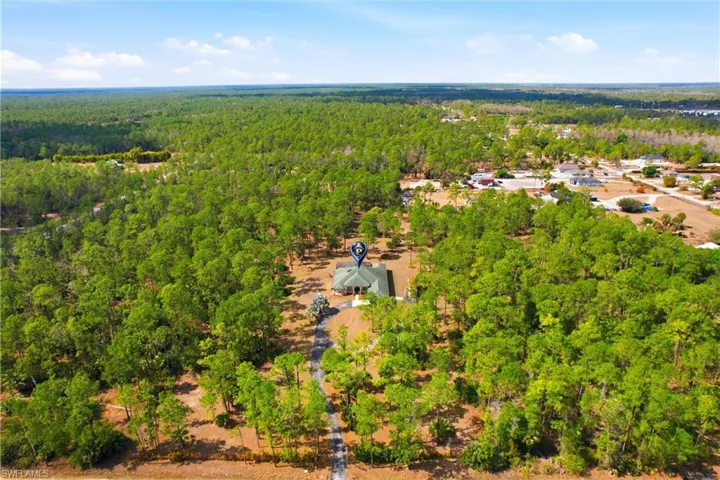 Drone / aerial view of a forest