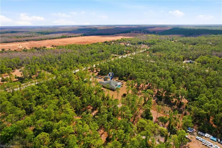 Bird's eye view of a forest