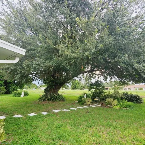 View of green lawn