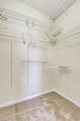 Walk-in closet featuring light-toned carpeting and multiple levels of wire shelving