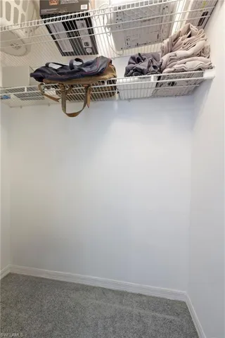 Roomy Walk in Closet