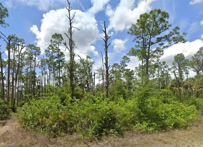 View of local wilderness