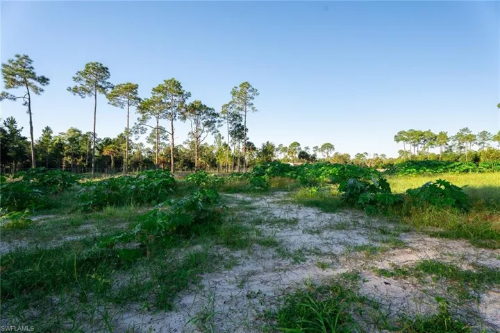 1210 Ivy Way, Naples, Florida 34117