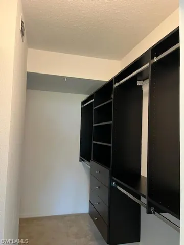Spacious closet with carpet flooring