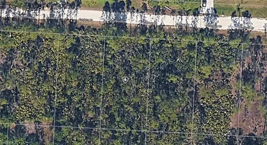 Aerial Map. Depicting a parcel of land with vegetation and grid overlay
