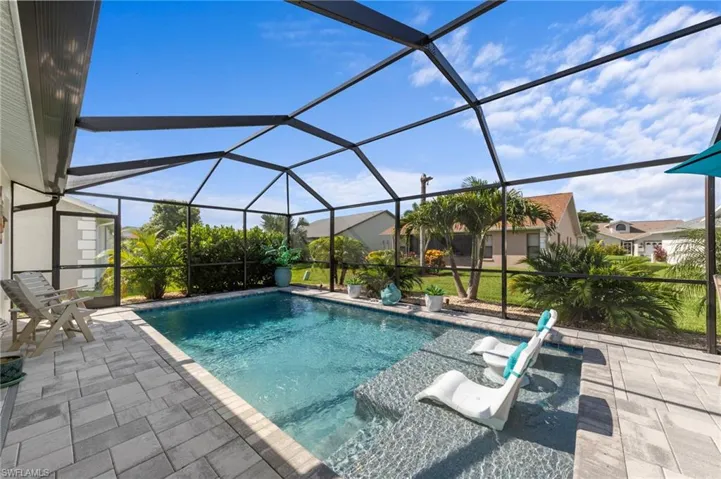 Screened pool enclosure featuring a saltwater swimming pool with integrated sun shelf