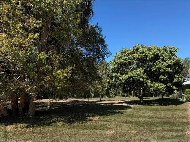 adjacent lot with Mango and Lychee tree