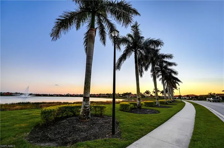 Palm Tree Lined Streets