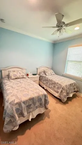 Bedroom featuring ceiling fan, carpet floors, and crown molding