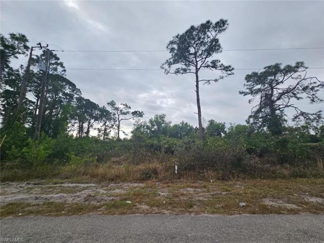 676-678  Chemstrand E ST, LEHIGH ACRES, FL 33974