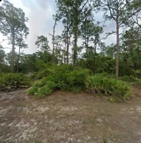 View of undeveloped land