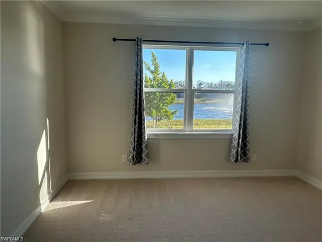 Empty room with light carpet, a water view, and ornamental molding