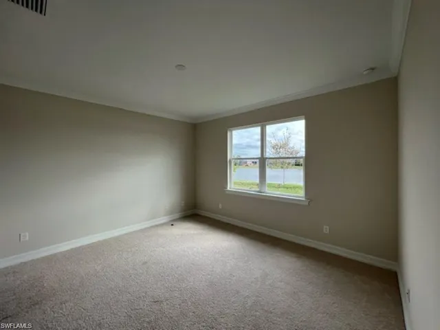 Unfurnished room featuring carpet floors, crown molding, and a water view