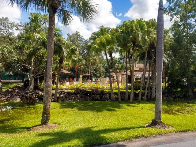 Palms_surround_tropical_pool