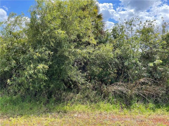 39th AVE NW, NAPLES FL 34120