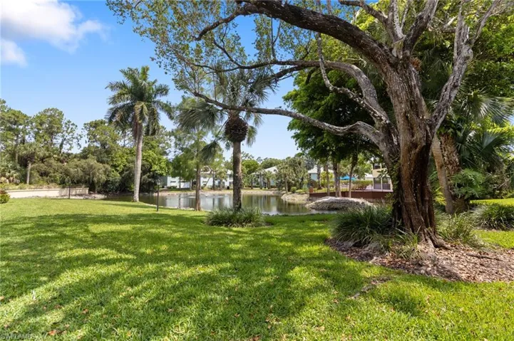 View from patio of yard with a water view
