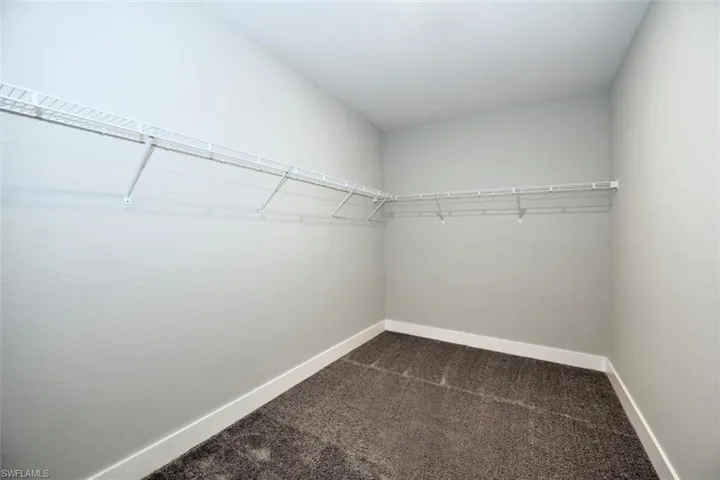 Spacious closet with carpet flooring