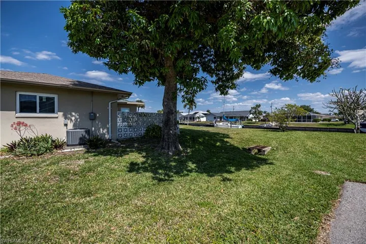SWEET MANGOS from this large shade tree!
