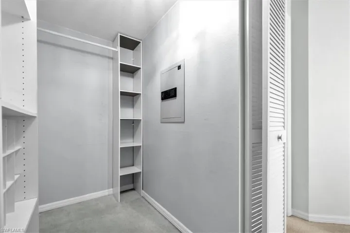 Walk in closet featuring light carpet and electric panel