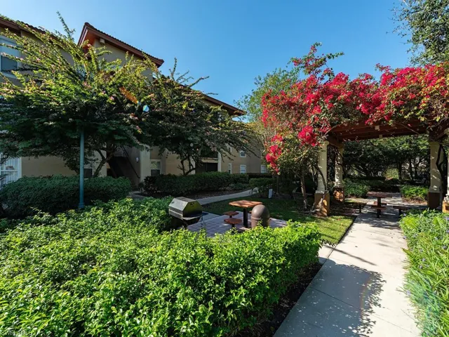Patio, Table and Grill Area