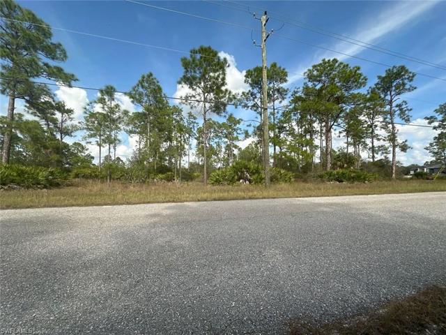 14 W 15th ST, LEHIGH ACRES FL 33972