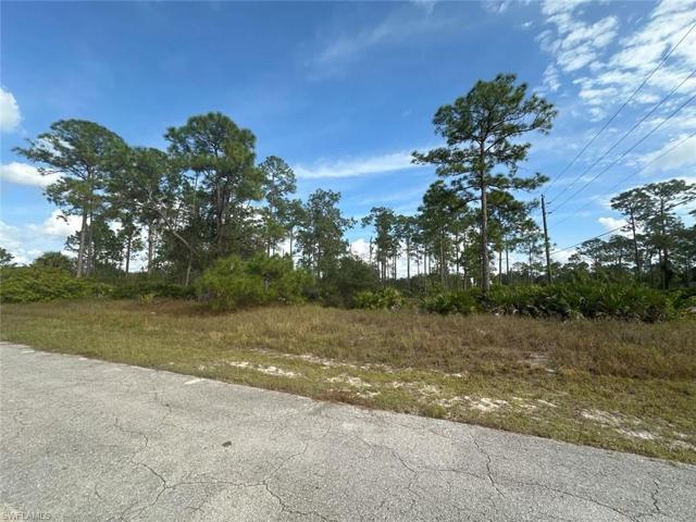 14 W 15th ST, LEHIGH ACRES FL 33972