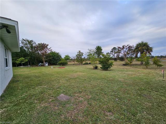 Big Backyard