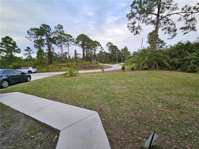 Front Yard