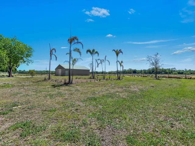 Plenty Of Room For All Your Toys