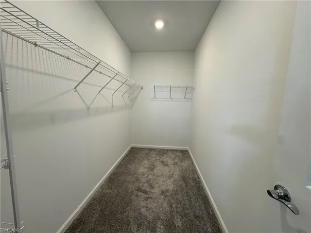 Walk in closet featuring carpet flooring