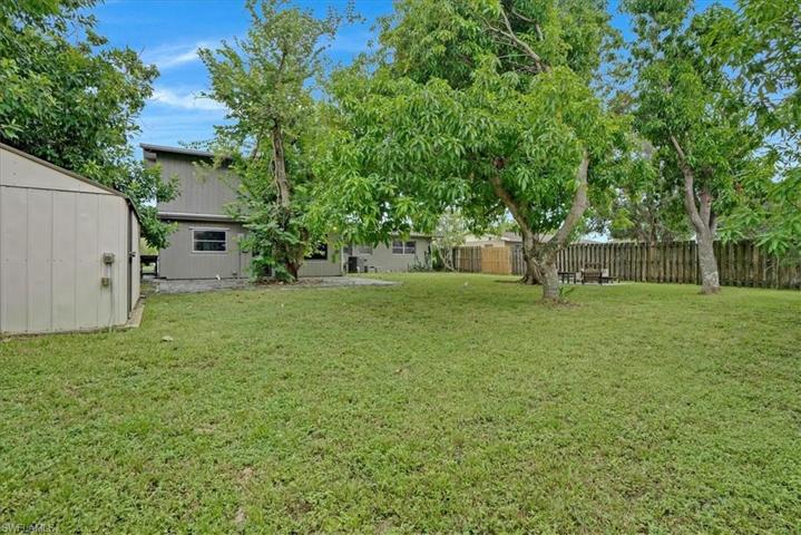 Large Shed Included! Plus...Mango Trees and Avocado - Yummy!