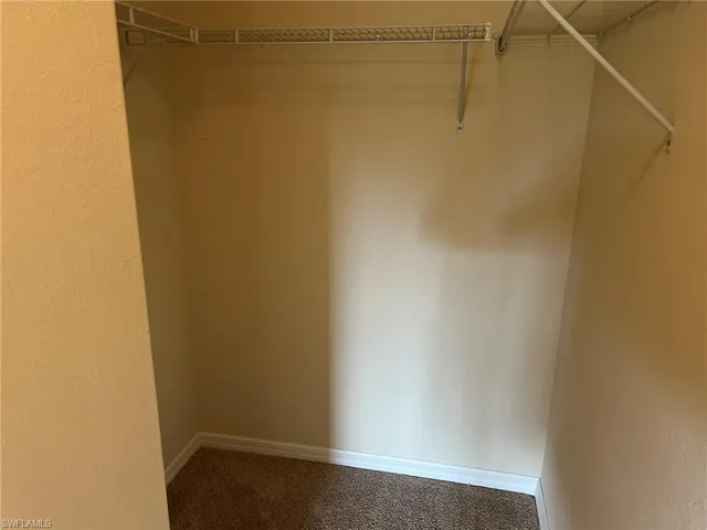 Walk in closet with carpet flooring