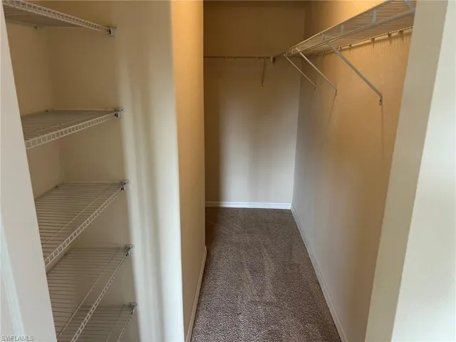Walk in closet with carpet floors