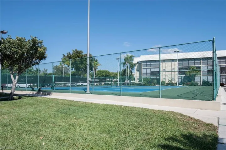 Pickle ball and tennis