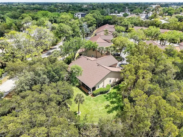 Drone / aerial view of a tree filled landscape