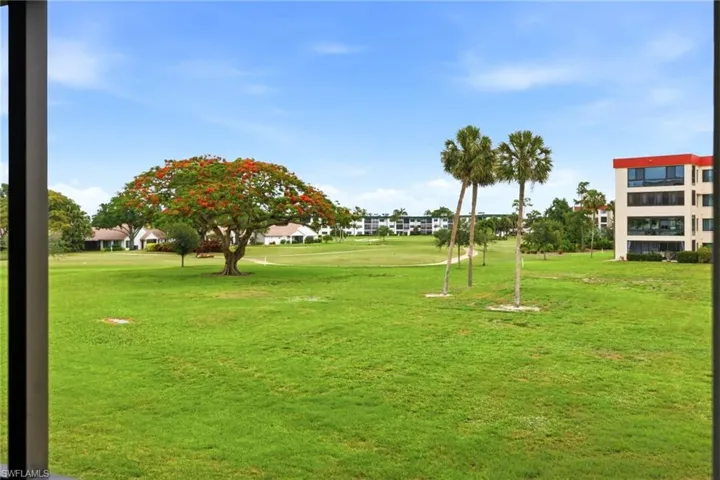Expansive green space featuring a vibrant flowering tree and palm trees