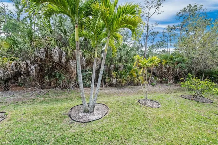 176 Lady Palm Dr, Naples Fl 34104