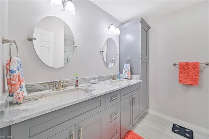Bathroom with wood-type flooring and vanity