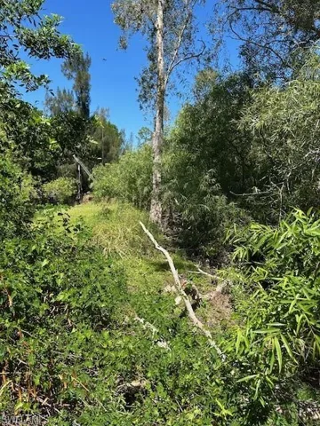 View of landscape