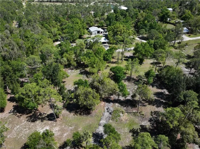 Bird's eye view featuring a forest view